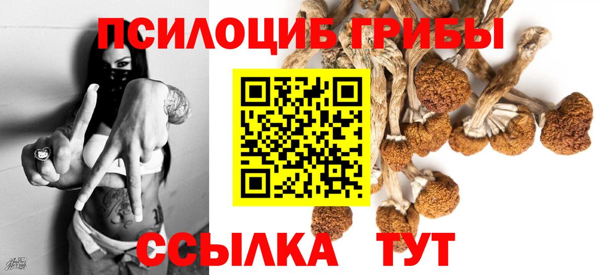 Галлюциногенные грибы Magic Shrooms Бугуруслан